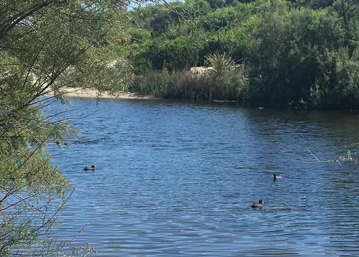 Moll Petit - Turismo De Interior