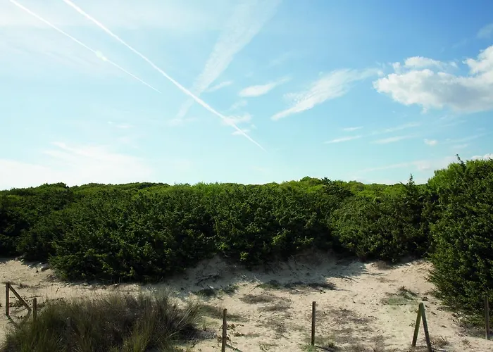 Appartamento Moll Petit - Turismo De Interior Can Picafort (Mallorca)